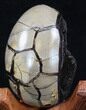 Septarian Dragon Egg Geode - Black Calcite Crystals #34706-2